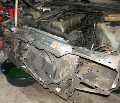 P1100095_1.jpg